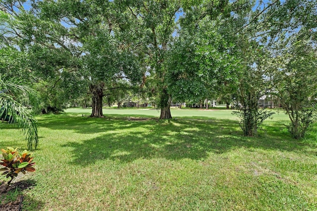 16511 Turnbury Oak Dr, Odessa, FL 33556 - photo 37