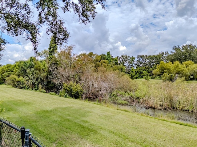 6012 Hammock Hill Ave, Lithia, FL 33547 - photo 50