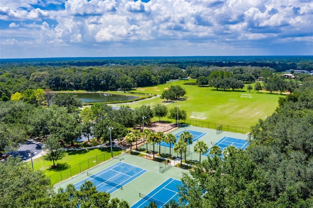 6012 Hammock Hill Ave, Lithia, FL 33547 - photo 69