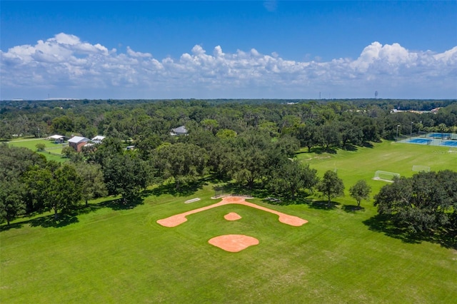 6012 Hammock Hill Ave, Lithia, FL 33547 - photo 71