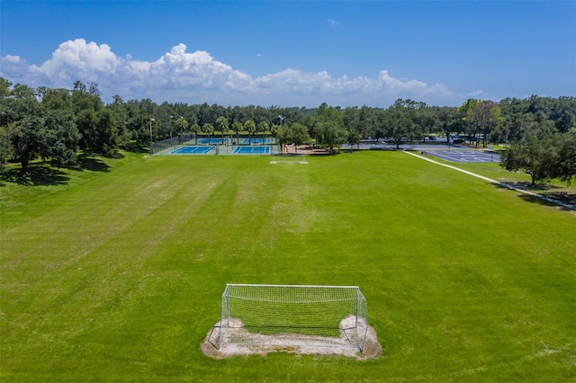6012 Hammock Hill Ave, Lithia, FL 33547 - photo 72