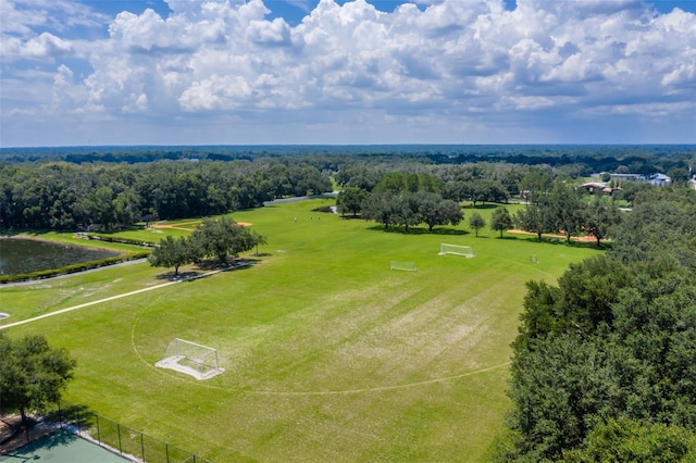 6012 Hammock Hill Ave, Lithia, FL 33547 - photo 73