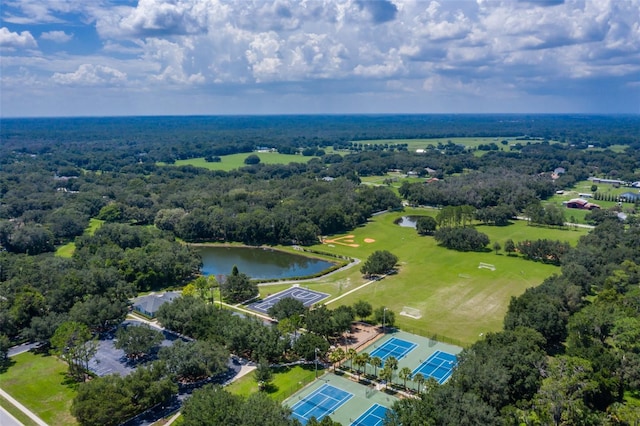 6012 Hammock Hill Ave, Lithia, FL 33547 - photo 74