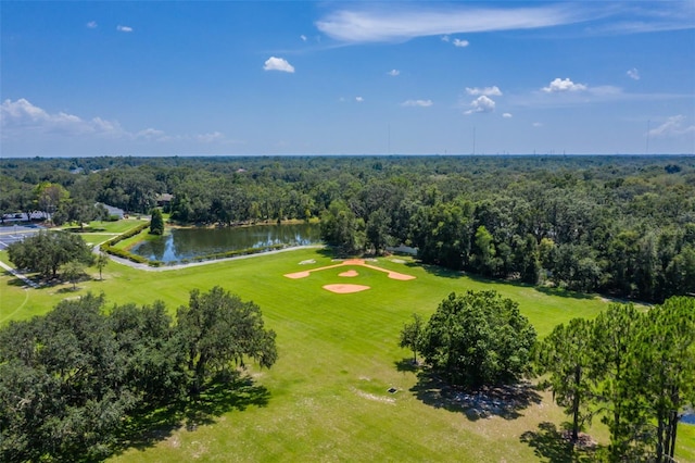 6012 Hammock Hill Ave, Lithia, FL 33547 - photo 82