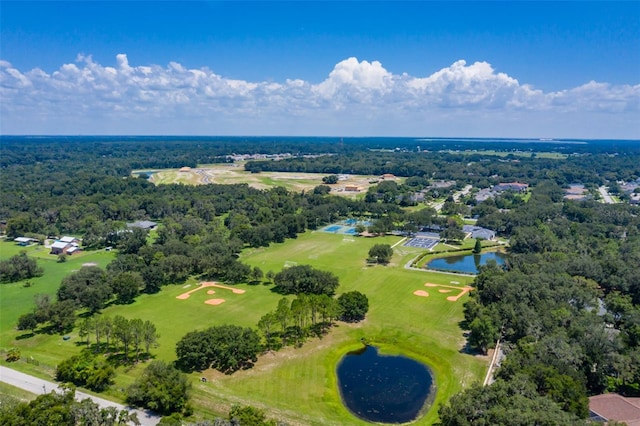 6012 Hammock Hill Ave, Lithia, FL 33547 - photo 83