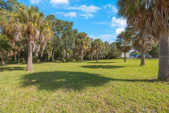 145th Ln, Largo, FL 33774 - photo 8