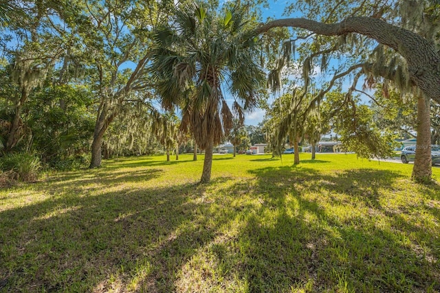 145th Ln, Largo, FL 33774 - photo 9