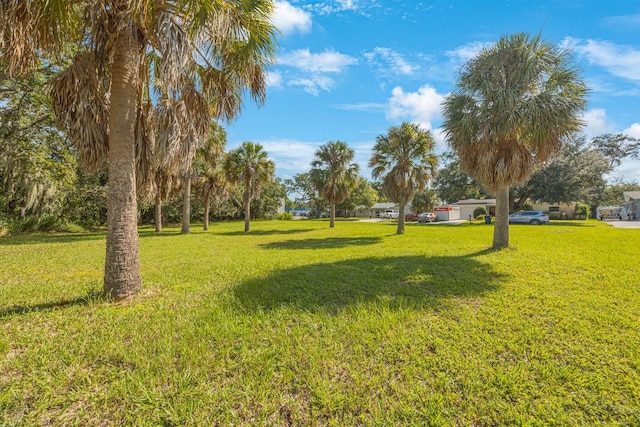 145th Ln, Largo, FL 33774 - photo 10