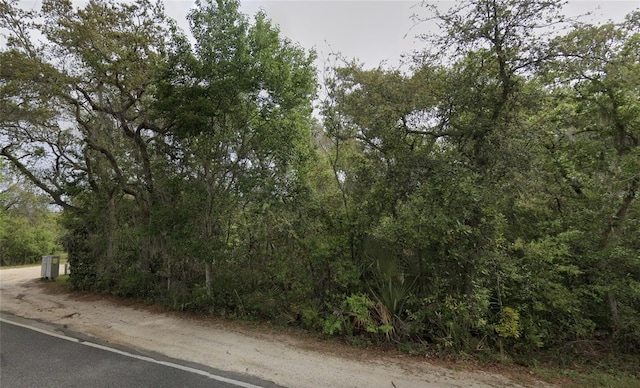 NE 154th Pl, Fort Mc Coy, FL 32134 - photo 1