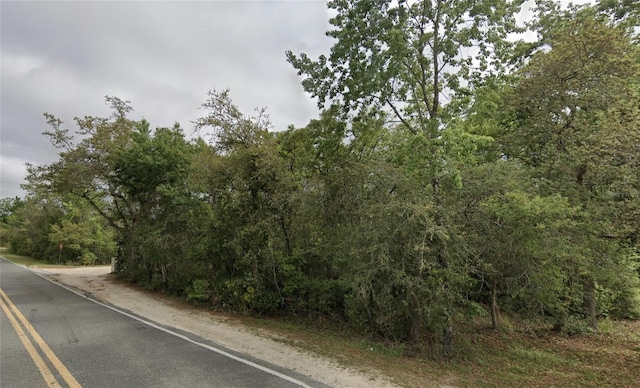 NE 154th Pl, Fort Mc Coy, FL 32134 - photo 4