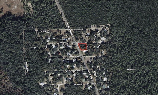NE 154th Pl, Fort Mc Coy, FL 32134 - photo 5