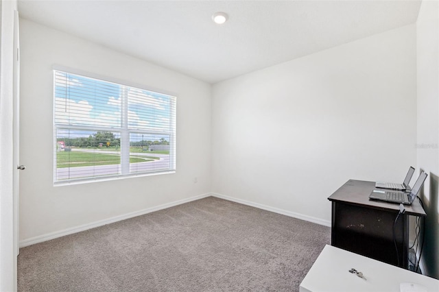 34211 Jasper Stone Dr, Wesley Chapel, FL 33543 - photo 24