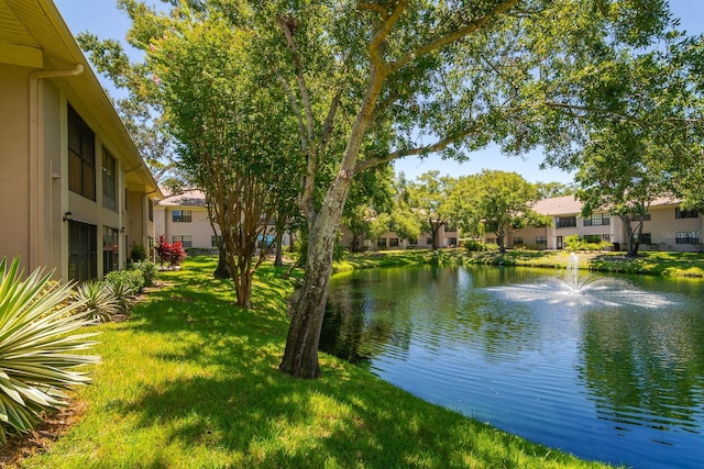 2188 Elm St Unit 1107, Dunedin, FL 34698 - photo 33