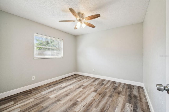 8910 Elm Leaf Ct, Port Richey, FL 34668 - photo 29