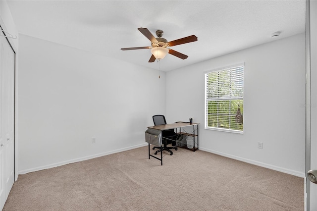 10033 Newminster Loop, Ruskin, FL 33573 - photo 34