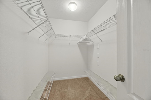 10033 Newminster Loop, Ruskin, FL 33573 - photo 47