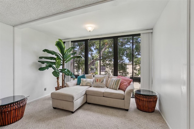 14130 Rosemary Ln Unit 3303, Largo, FL 33774 - photo 5