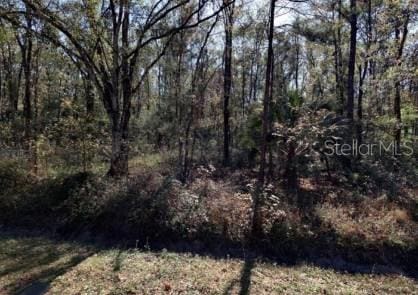 4572 Division St, Hastings, FL 32145 - photo 1