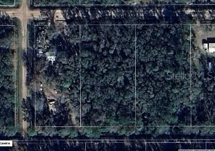 4572 Division St, Hastings, FL 32145 - photo 2