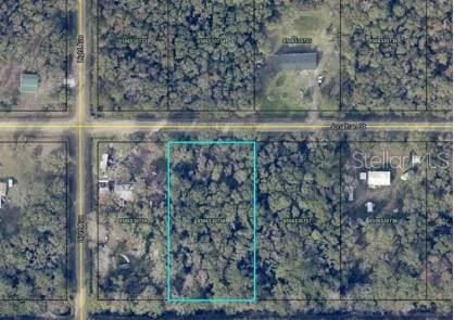 4572 Division St, Hastings, FL 32145 - photo 3