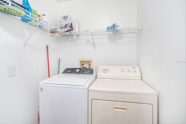 5203 Bayshore Blvd Unit 11, Tampa, FL 33611 - photo 11