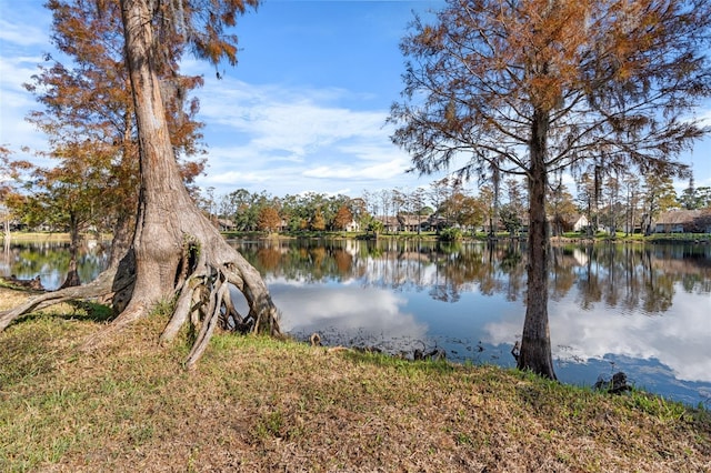 2549 Oakleaf Ln Unit 36C, Clearwater, FL 33763 - photo 31