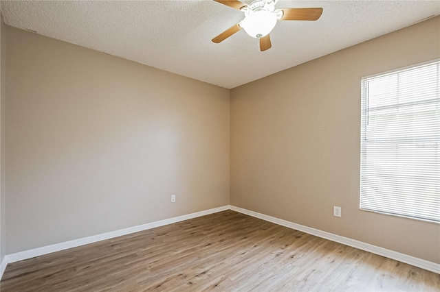 6651 Meritmoor Cir, Orlando, FL 32818 - photo 13