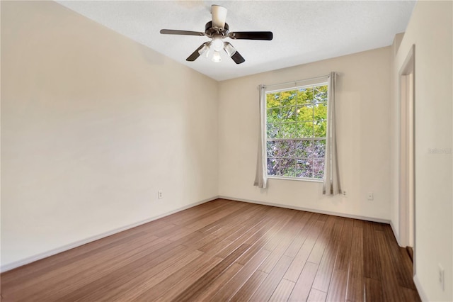605 Chippenham Blvd, Brandon, FL 33511 - photo 13