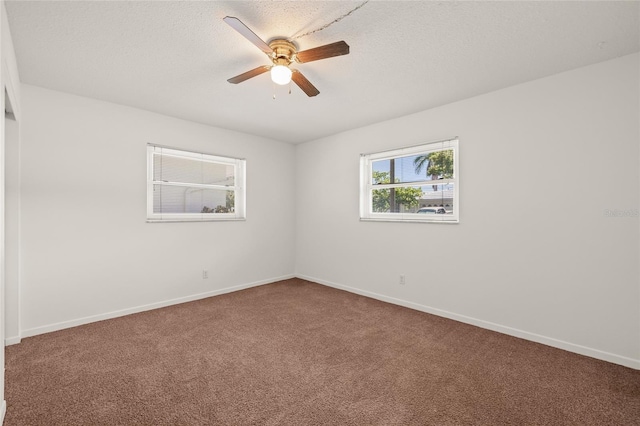 9460 45th Way N, Pinellas Park, FL 33782 - photo 37