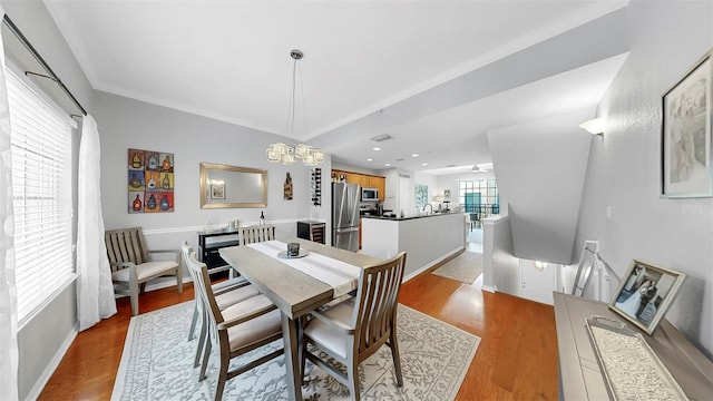 117 Grand Beach Pl, Tampa, FL 33609 - photo 18