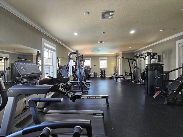 117 Grand Beach Pl, Tampa, FL 33609 - photo 44