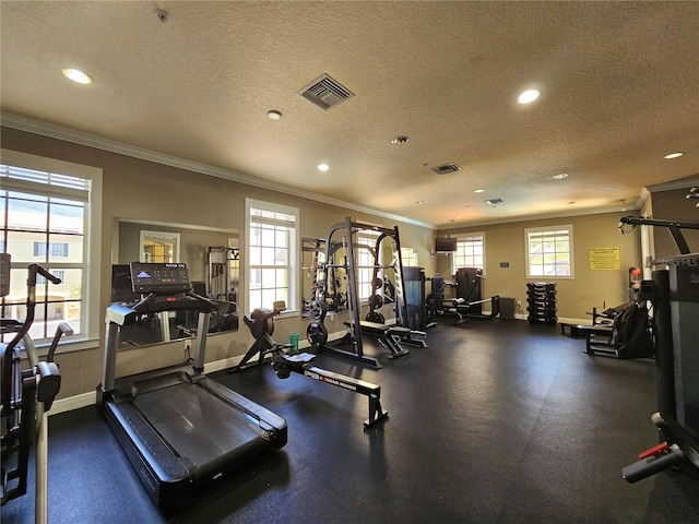 117 Grand Beach Pl, Tampa, FL 33609 - photo 45
