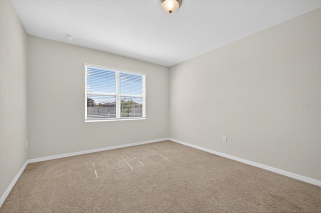 11944 Cross Vine Dr, Riverview, FL 33579 - photo 18