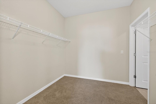 11944 Cross Vine Dr, Riverview, FL 33579 - photo 24