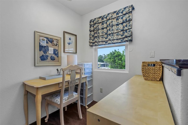 2801 Miriam St S, Gulfport, FL 33711 - photo 36