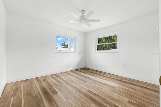 1474 54th Ave NE, Saint Petersburg, FL 33703 - photo 34