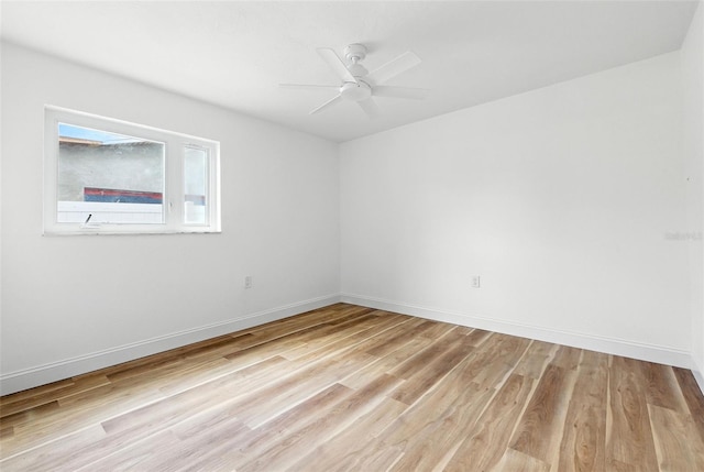 1474 54th Ave NE, Saint Petersburg, FL 33703 - photo 38