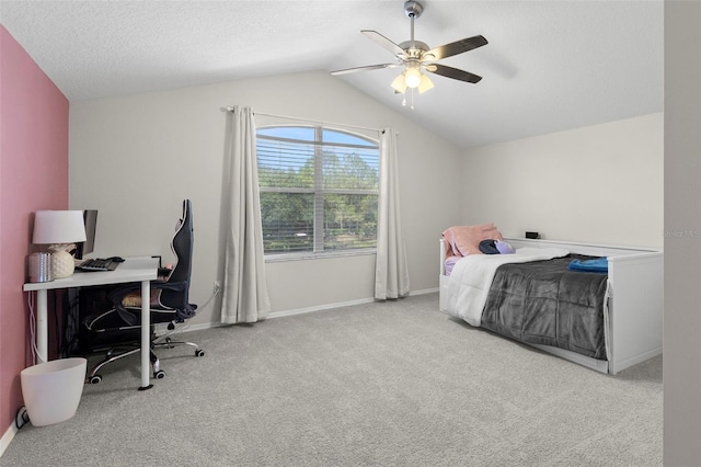 19406 Golden Slipper Pl, Lutz, FL 33558 - photo 28