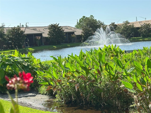 2567 Gloriosa Dr, Palm Harbor, FL 34684 - photo 2