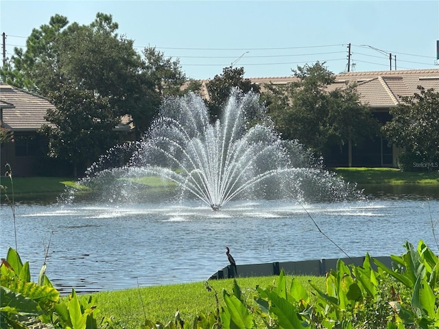 2567 Gloriosa Dr, Palm Harbor, FL 34684 - photo 3