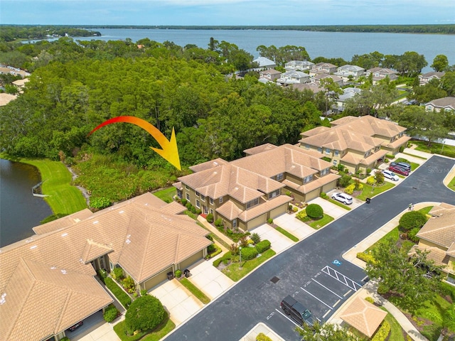 2567 Gloriosa Dr, Palm Harbor, FL 34684 - photo 5