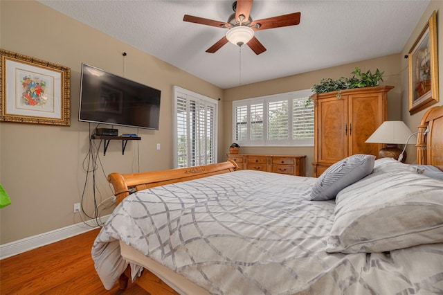 2567 Gloriosa Dr, Palm Harbor, FL 34684 - photo 19