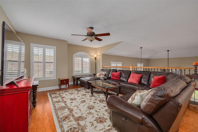 2567 Gloriosa Dr, Palm Harbor, FL 34684 - photo 23