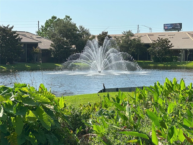 2567 Gloriosa Dr, Palm Harbor, FL 34684 - photo 31