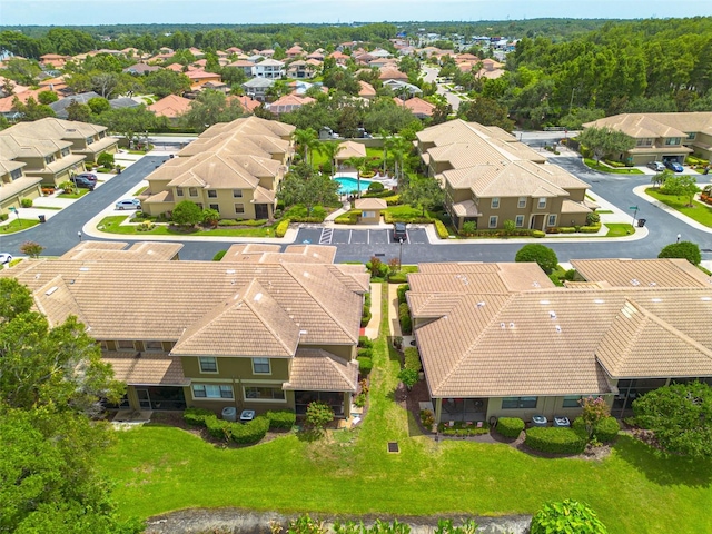 2567 Gloriosa Dr, Palm Harbor, FL 34684 - photo 33