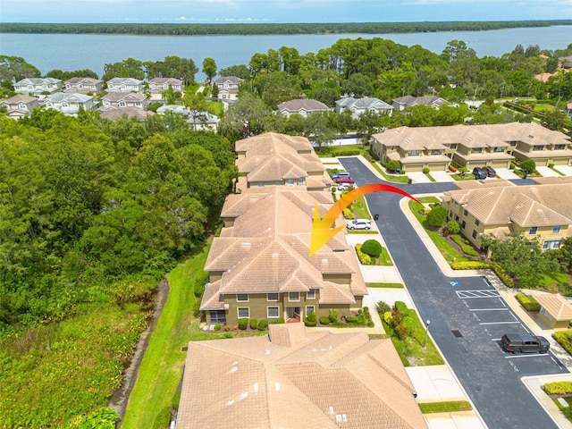 2567 Gloriosa Dr, Palm Harbor, FL 34684 - photo 35