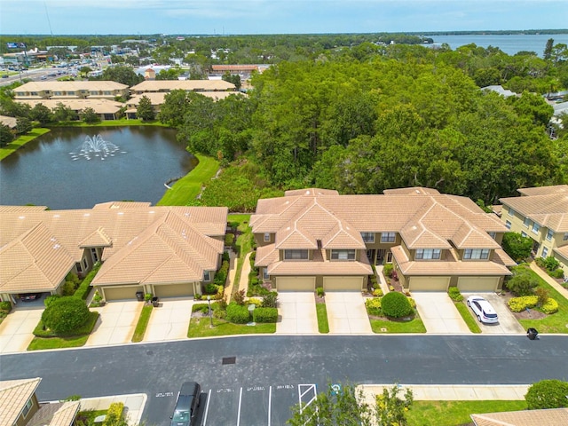 2567 Gloriosa Dr, Palm Harbor, FL 34684 - photo 36