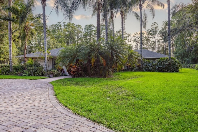 19100 Forrest Dr, Odessa, FL 33556 - photo 3