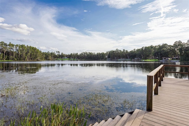 19100 Forrest Dr, Odessa, FL 33556 - photo 49