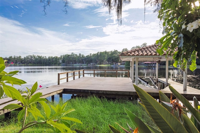 19100 Forrest Dr, Odessa, FL 33556 - photo 52